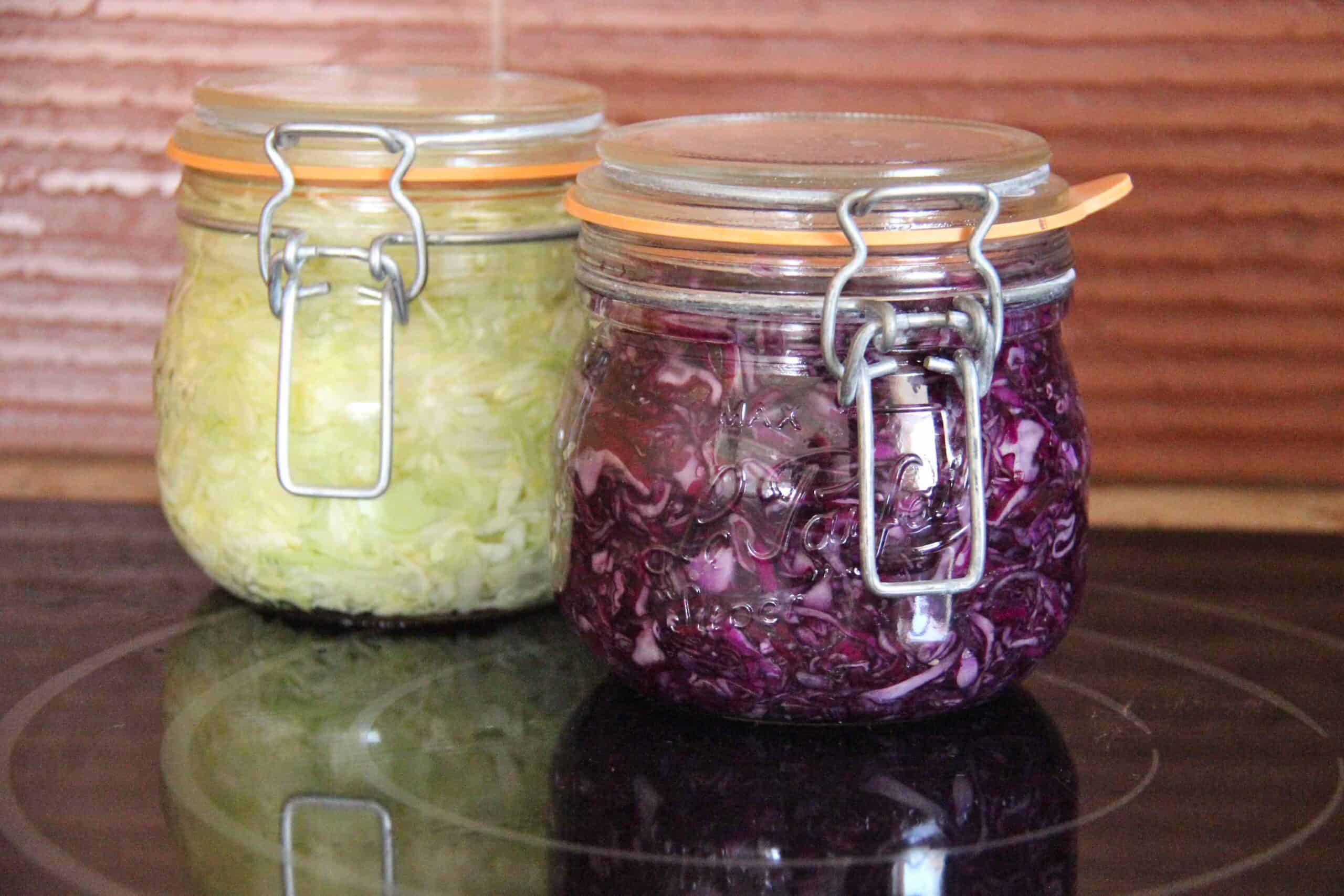 Petit cours de lactofermentation