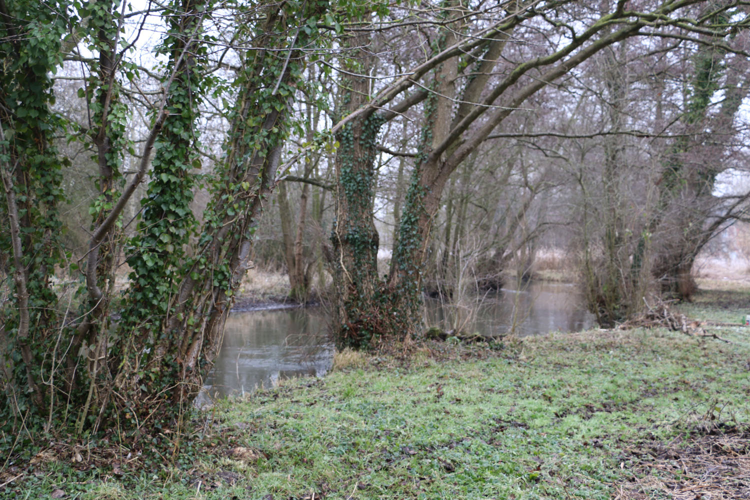 Parc Domaine de Penthièvre