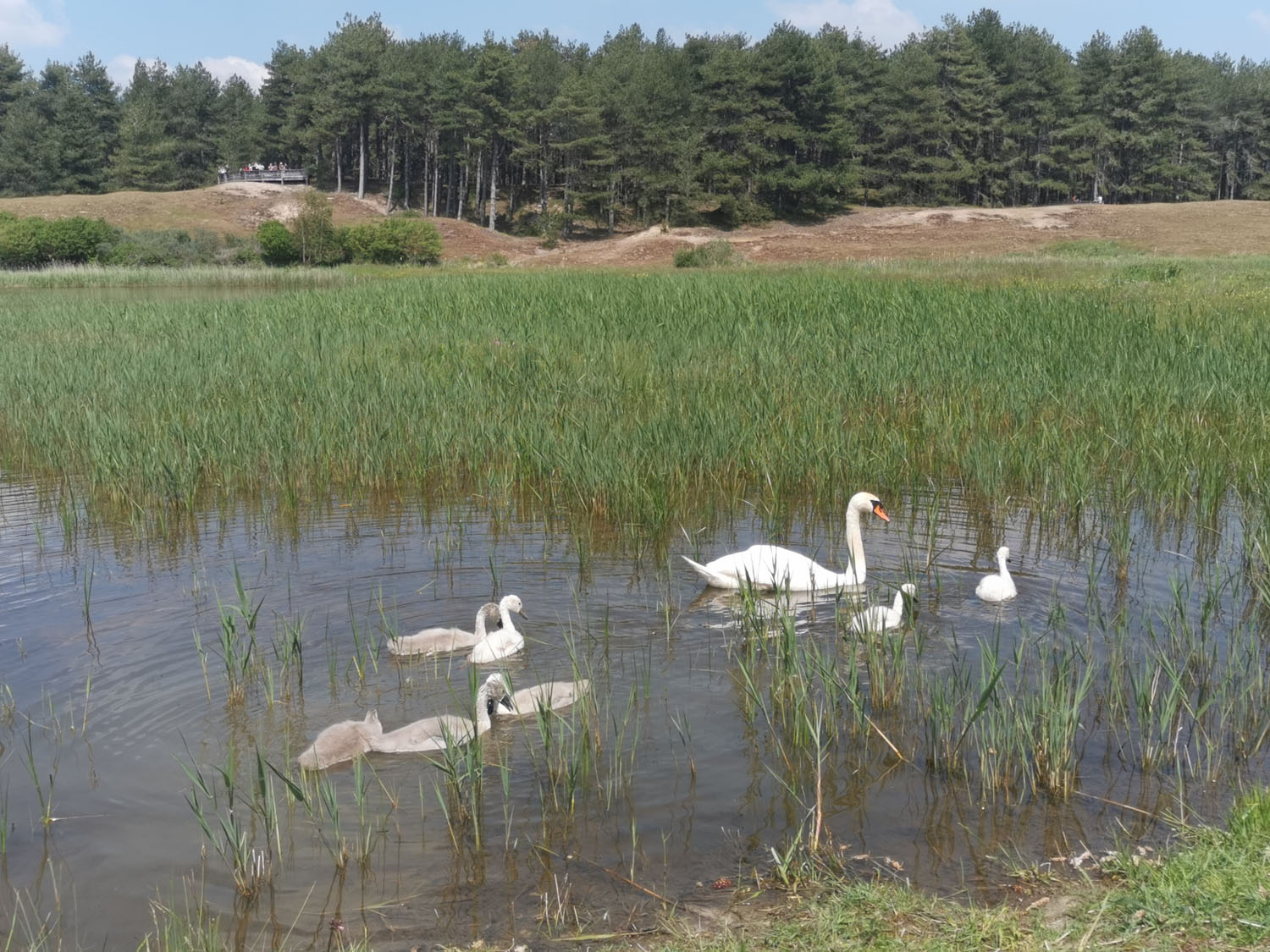 Quand visiter le parc du Marquenterre ? - DOMAINE DE PENTHIÈVRE